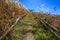 Walkway uphill with blue sky - Senboku, Akita, Japan