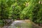 Walkway at Washington Square Park, in Greenwich Village, Manhattan, New York City