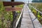 Walkway wood texture a natural