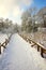 Walkway, wooden fence, reeds and branches in the snow