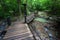 Walkway wooden for study in nature rainforest on national park.