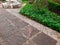 Walkways of parks. Garden path of paving slabs in the garden Floor panels,