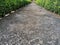 Walkways of parks. Garden path of paving slabs in the garden Floor panels,