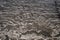 wall of abandoned house, background texture image.Historic abandoned adobe wall cracked,dirty in ruins on a hacienda in