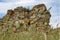 Wall of ancient ruins of castle among green grass. Ukrainian architectural  landmark