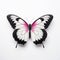 Wall Butterfly: Black And Pink Wings On White Background