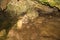 Wall of the cave covered geological formations. tinted