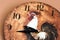 Wall clock with a rooster theme