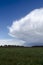 Wall Cloud (Vertical)