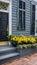 Wall exterior siding house architecture sidewalk and multicolored yellow flowers