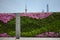 The Wall of Flowers in the Bund, Shanghai, China