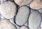 Wall gray cobblestone with cement part of the wall light stone base series of round oval stones