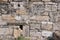 Wall at Historic Ancient Theatre, Hierapolis, Pamukkale, Denizli Province, Turkey