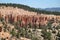 Wall of Hoodoos in Bryce