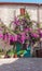 Wall of a house covered with colored Bougainvillea