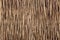 Wall of house made from nipa palm leaves texture