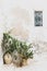 The wall of a house with small window and cacti in big clay pots