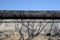 A wall in Jongmyo