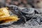 Wall lizard gallotia galloti palmae eating a discarded banana with volcanic landscape rock in the background. La Palma Island,