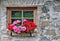 Wall of an old farm house made of field stones with window and red flowers
