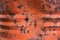 wall of old metal painted rusty barrel with corrosion and holes is abstract grunge background