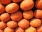 Wall of orange pumkhin under sushine at noon