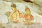 Wall painting in Sigiriya rock monastery,Ceylon