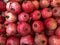 Wall of Pomegranates ready for sale at the grocery store