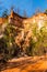 Wall of Providence Canyon with trees, USA