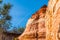 Wall of Providence Canyon with trees, USA