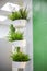 On the wall in the room hang three white planters with green plants