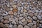 Wall of sea stones. Gray and yellowish, textured stone.