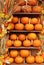 A wall of shelf filled pumpkins