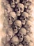 Wall of skulls on old shabby surface. Modern abstract background. Futuristic 3d rendering digital illustration