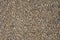 Wall of small stones texture. Pebbles and sand wall texture. Small stones wall background for design with copy space