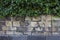 Wall stone blocks texture with green plants outside.