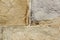 Wall stone texture background masonry