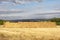 Wall of straw bales