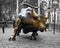 Wall Street Bull, Manhattan, NYC, NY