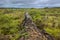 Wall of Tears, Isabela island, Ecuador