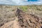 Wall Of Tears, Muro de las Lagrimas, Isabela Island, Galapagos Islands, Ecuador