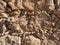 Wall texture at Masada, Israel