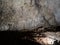 Wall of Upper Barac Cave, Croatia