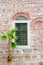 Wall with a window and a palm tree, Dzhumaya Mosque, Plovdiv, Bu