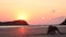 Wallabies eating from the beach sand at sunrise in Cape Hillsborough, Australia