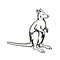 Wallaby or Kangaroo Side View Retro Woodcut Black and White