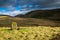 The Wallace Stone. Scottish Highlands