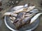 Wallago attu South Asian Boal fishes placed on a steel plate.