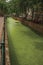 Walled canal with aquatic greenish plants, trees and buildings at Gouda.