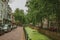 Walled canal with aquatic greenish plants, trees and buildings at Gouda.